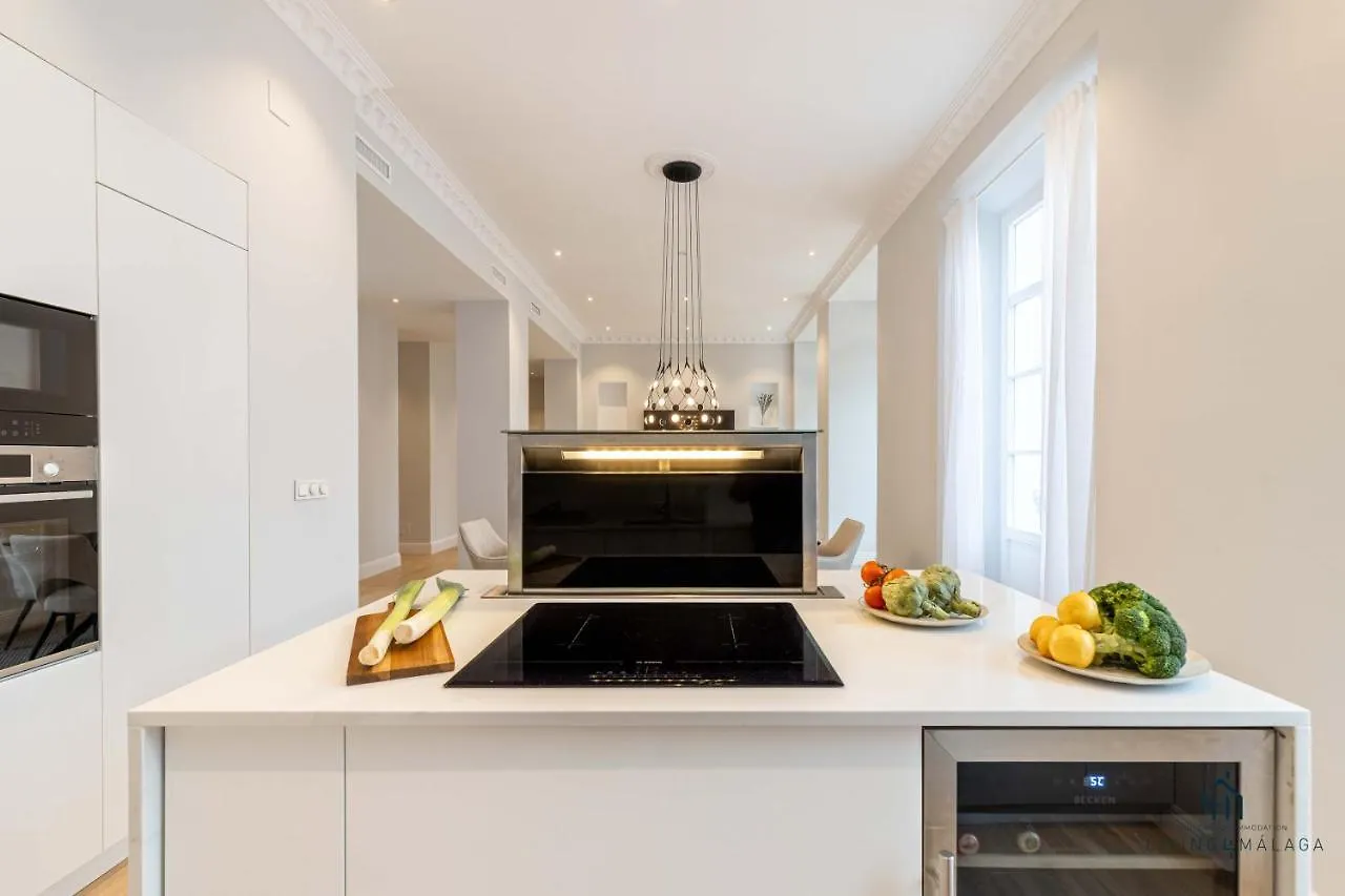 Living4Malaga Echegaray Grand Luxe Apartment