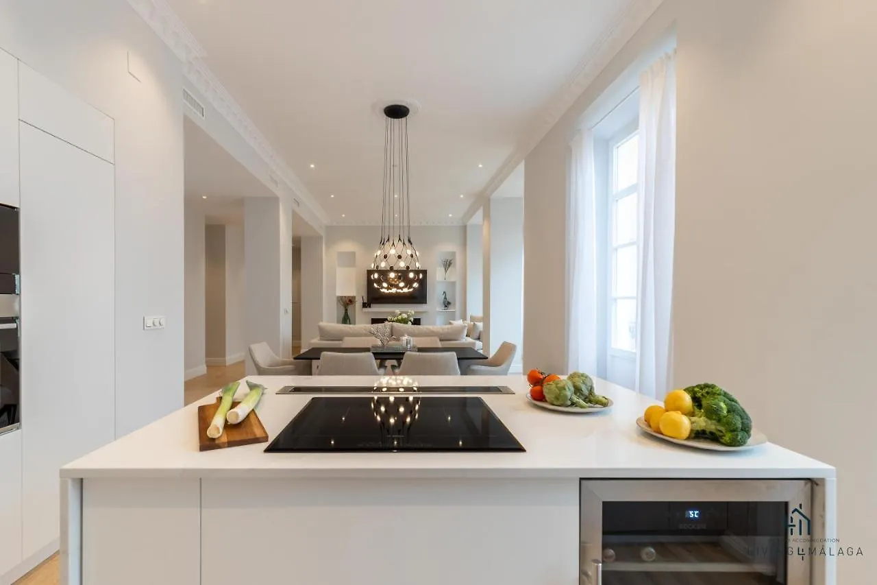 Living4Malaga Echegaray Grand Luxe Apartment